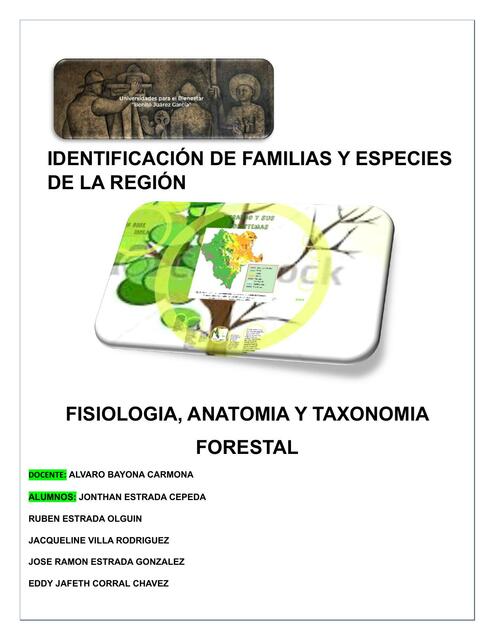 Identificación de familias y especies de la región