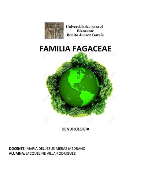 Familia fagaceae