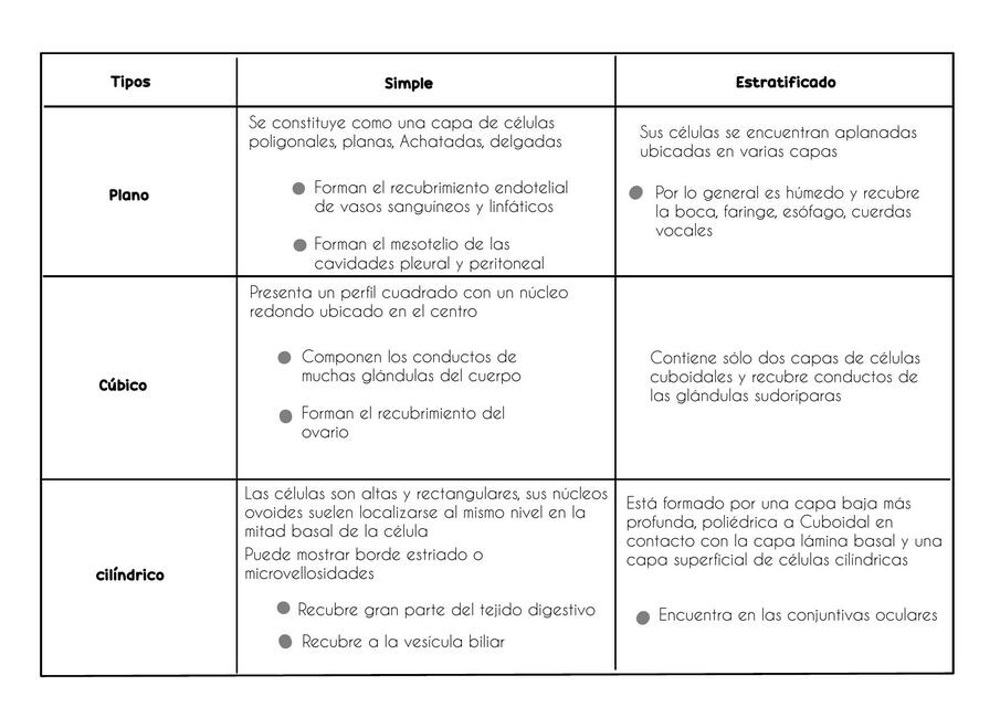 Diferencias de epitelios