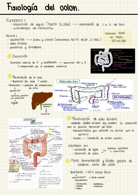 Fisiología