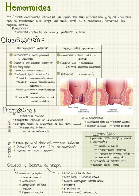 Hemorroides