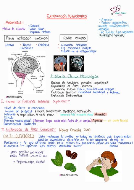 Exploración Neurología