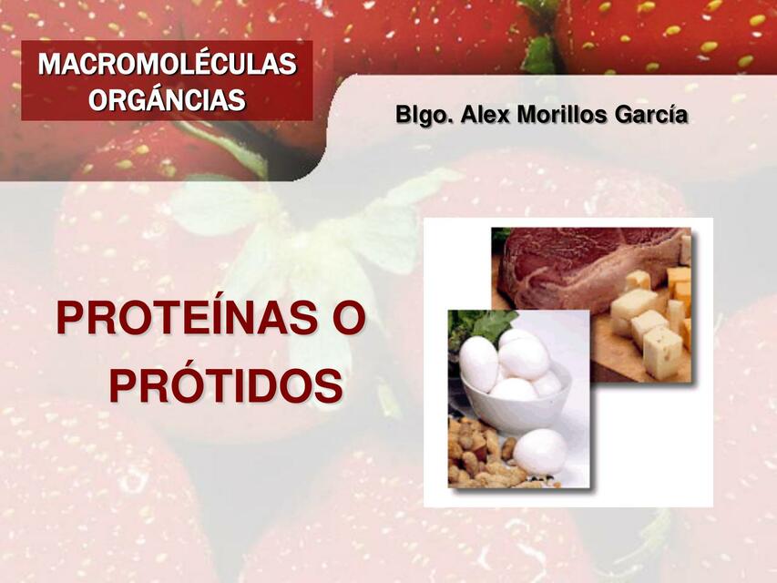 PROTEINAS