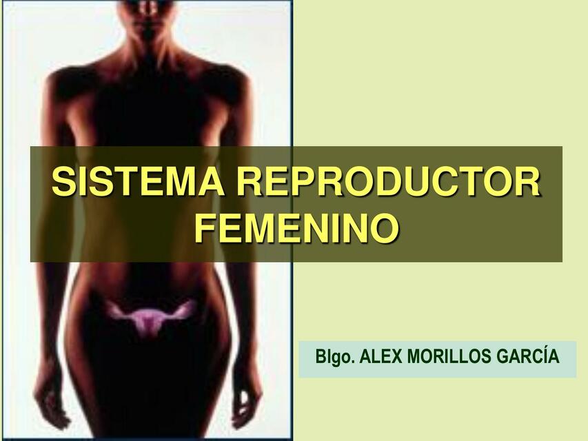 SISTEMA REPRODUCTOR FEMENINO