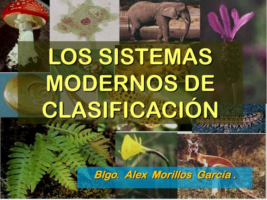 Los sistemas modernos de clasificación 