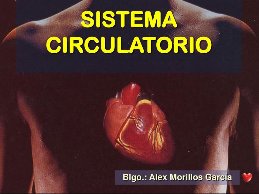 Sistema circulatorio 