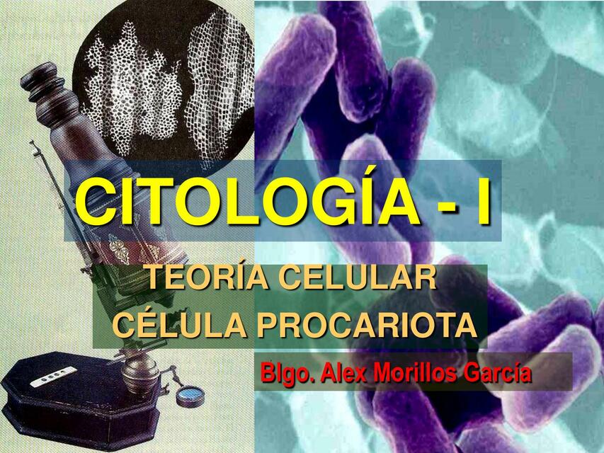 Citología I Teoría celular célula procariota 