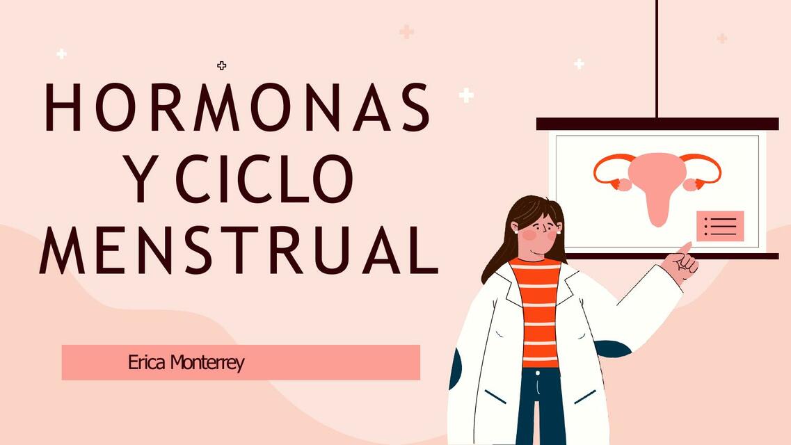 Ciclo menstrual