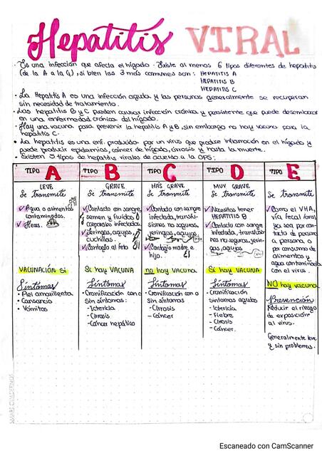 Hepatitis viral