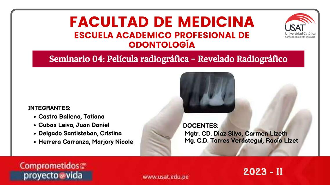 Pleiclula radiografica