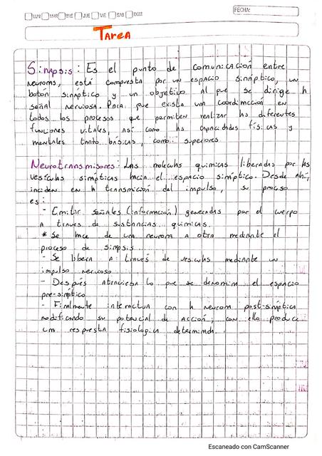 Sistema Nervioso(sinapsis, neurotransmisores, 31 pares de nervios espinales, 12 pares craneales)