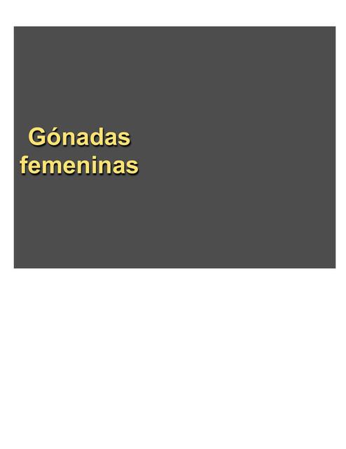 Gónadas femeninas