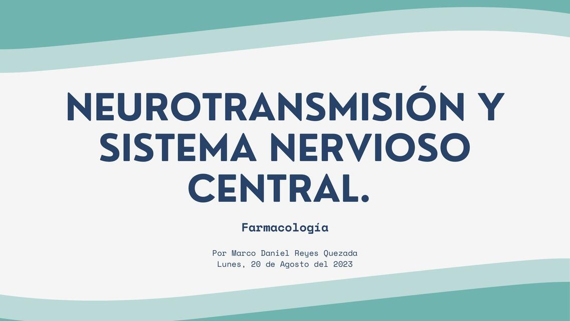 Neurotransmisión y Sistema Nervioso Central 