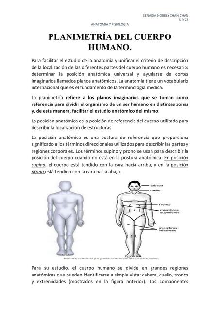 Planimetría del Cuerpo Humano 