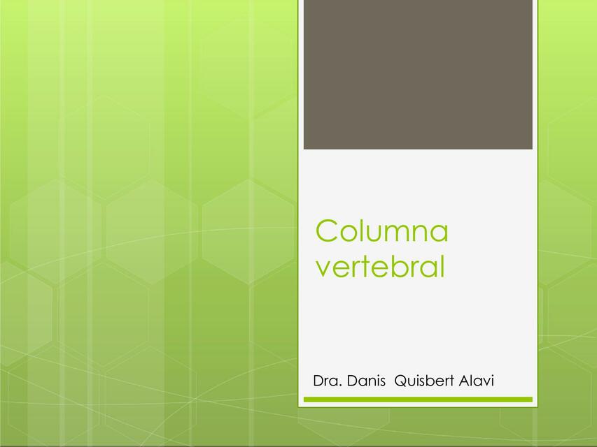 Columna Vertebral