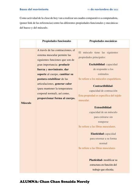 Bases del Movimiento 