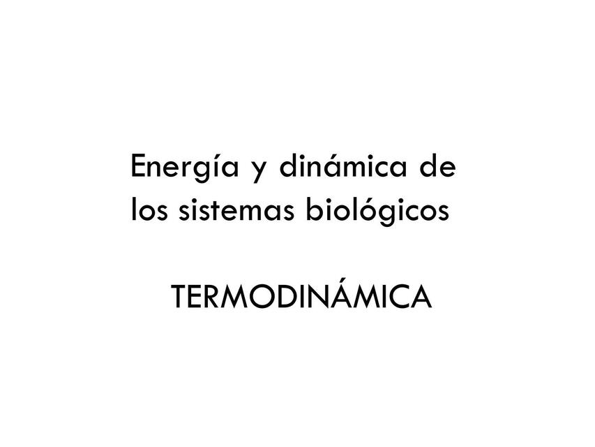 Termodinámica 