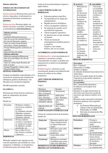 Sistema endocrino