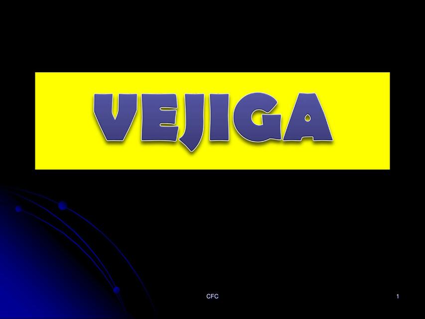 CAP 119 VEJIGA