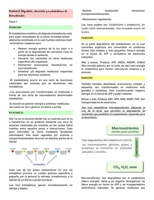 Digestión, Absorción y Metabolismo de Biomoléculas 