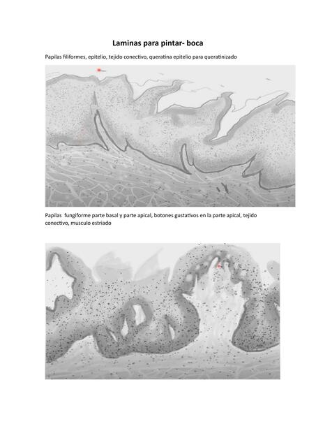 Laminas para pintar boca