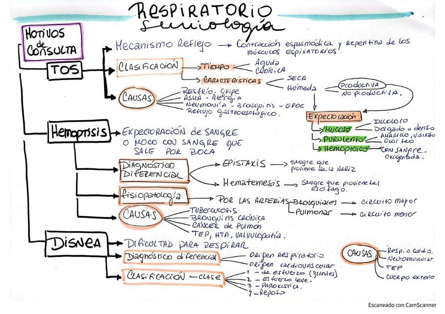 RESPIRATORIO - MOTIVOS DE CONSULTA - SEMIOPATOLOGÍA MÉDICO KINÉSICA