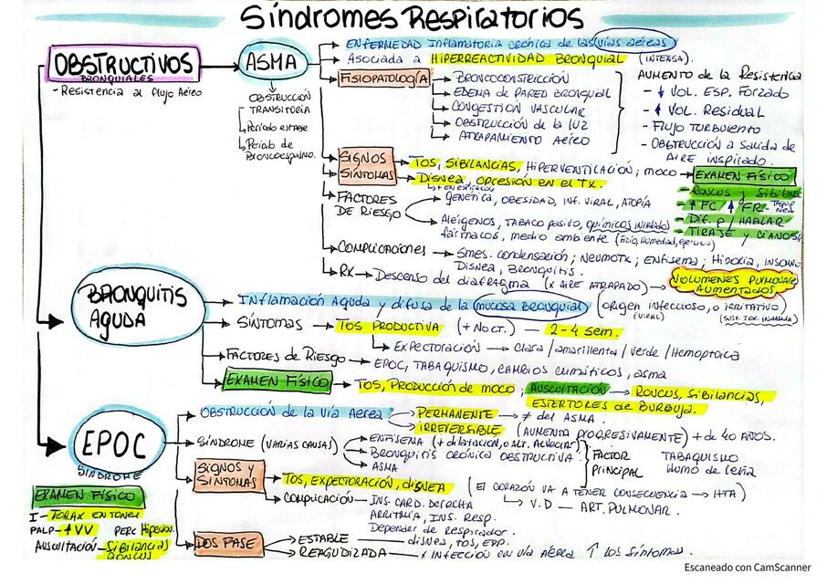 SINDROMES RESPIRATORIOS - SEMIOLOGÍA RESPIRATORIA