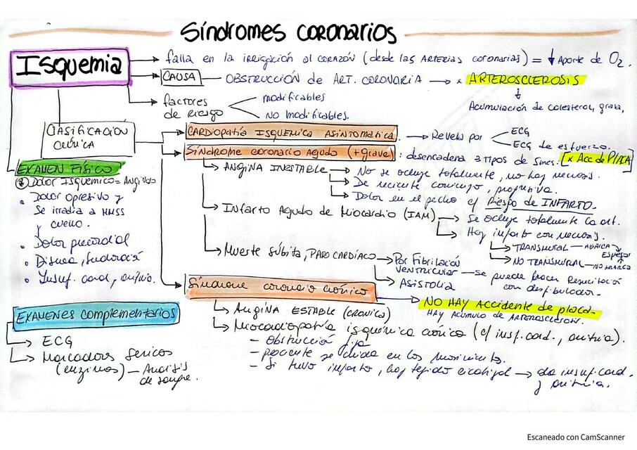 SINDROMES CARDIOVASCULARES - SEMIOLOGÍA MÉDICA KINÉSICA