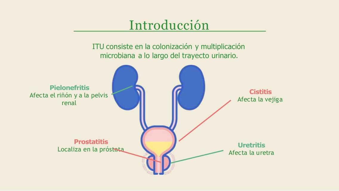 ITU 2