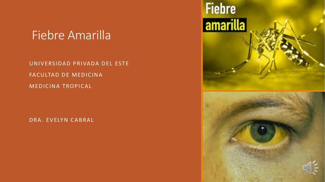 Fiebre Amarilla 