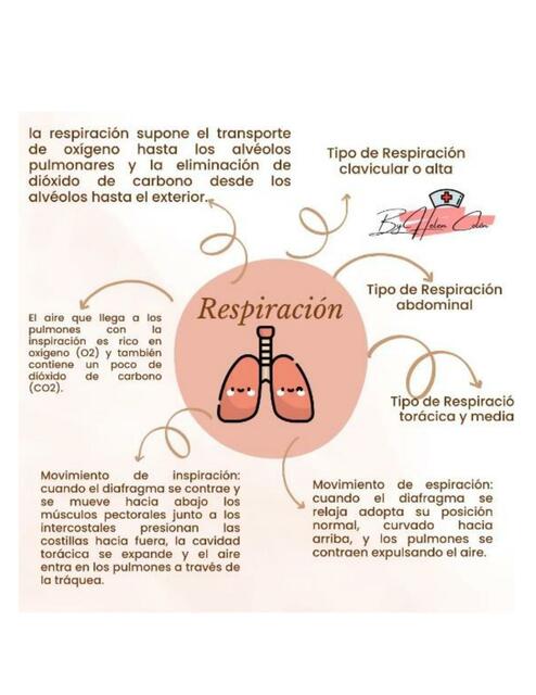 Respiración