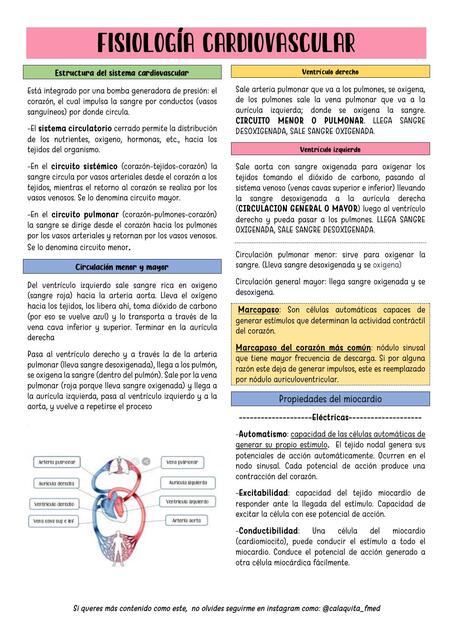 Fisiologia cardiovascular