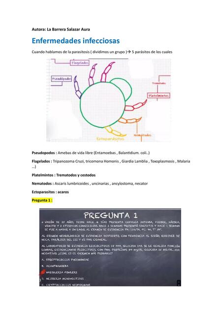 Enfermedades infecciosas y atención en salud / Preguntas tipo ENAM