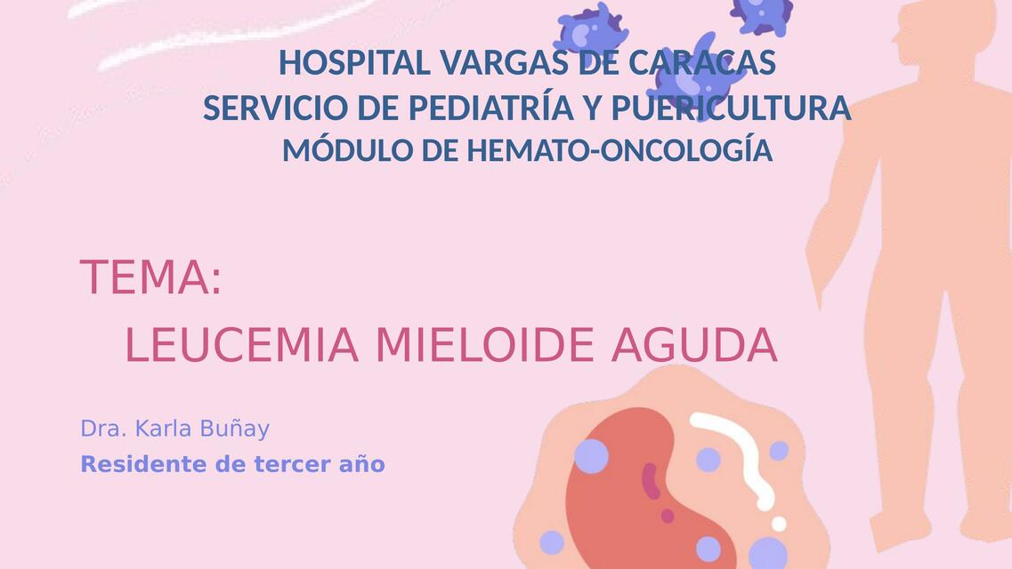 leucemia mieloblástica aguda Karlita