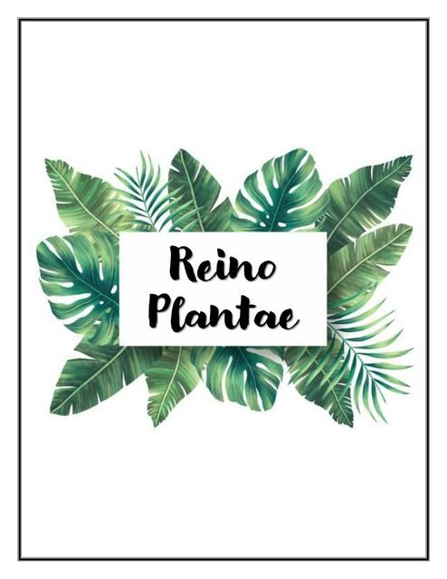 Reino Plantae Ciencias Naturales