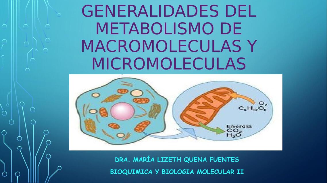 Generalidades del metabolismo de macromoléculas y micromoléculas 