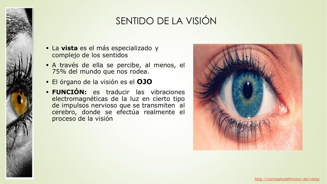 Sentido de la Visión 