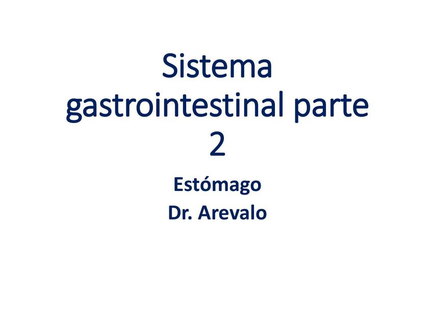 5 Sistema gastrointestinal estomago