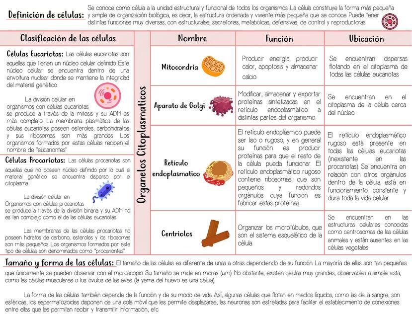 Celulas Eucariotas y Procariotas