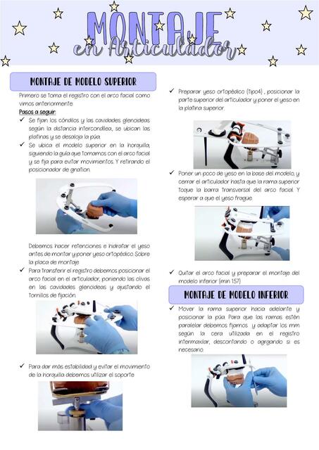 Montaje de Articuladores - Isi.studies_