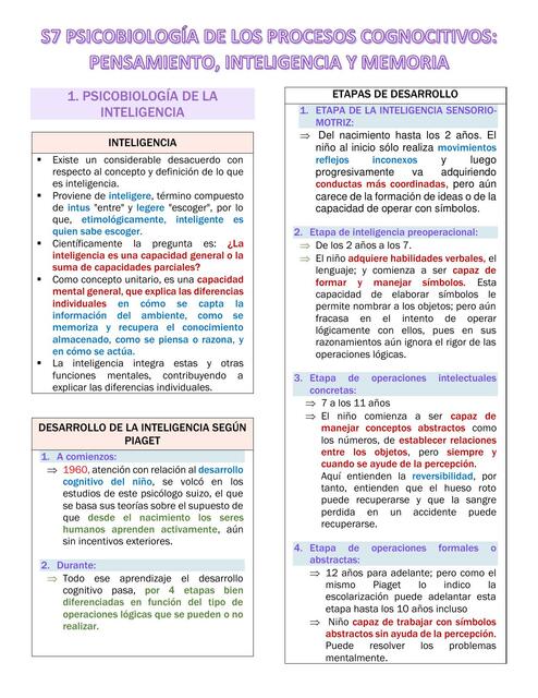 Psicobiología de los procesos cognocitivos 