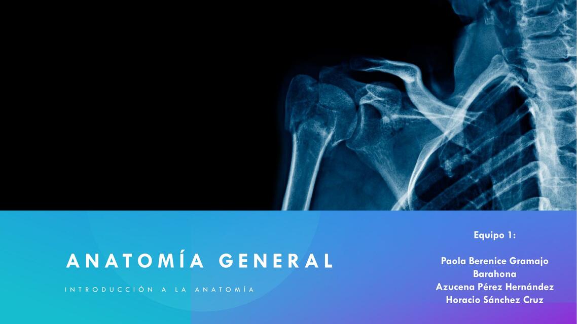 Anatomía General