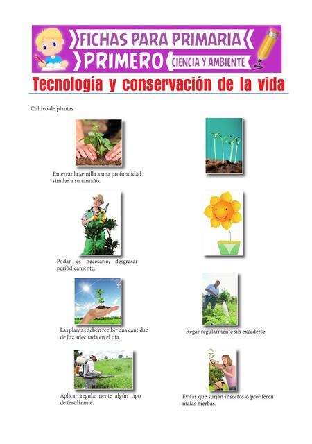 Tecnología y Conservación de la Vida para Primero