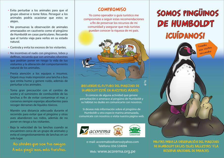 Somos Pingüinos de Humboldt 