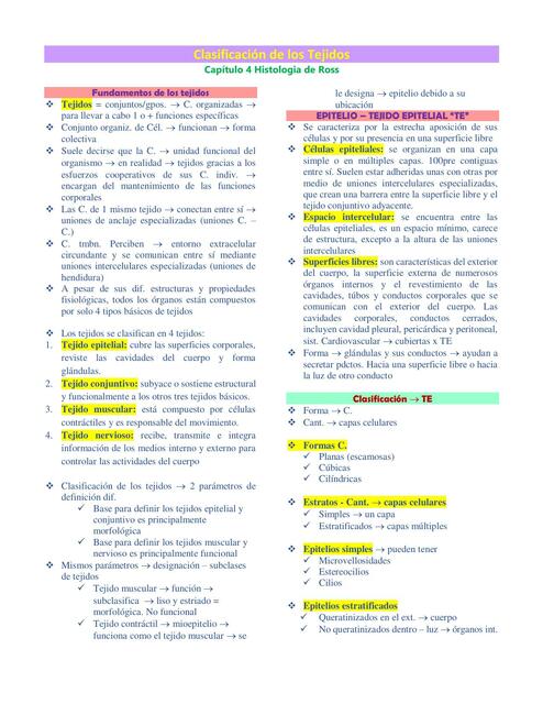 Clasificación de los tejidos Histología