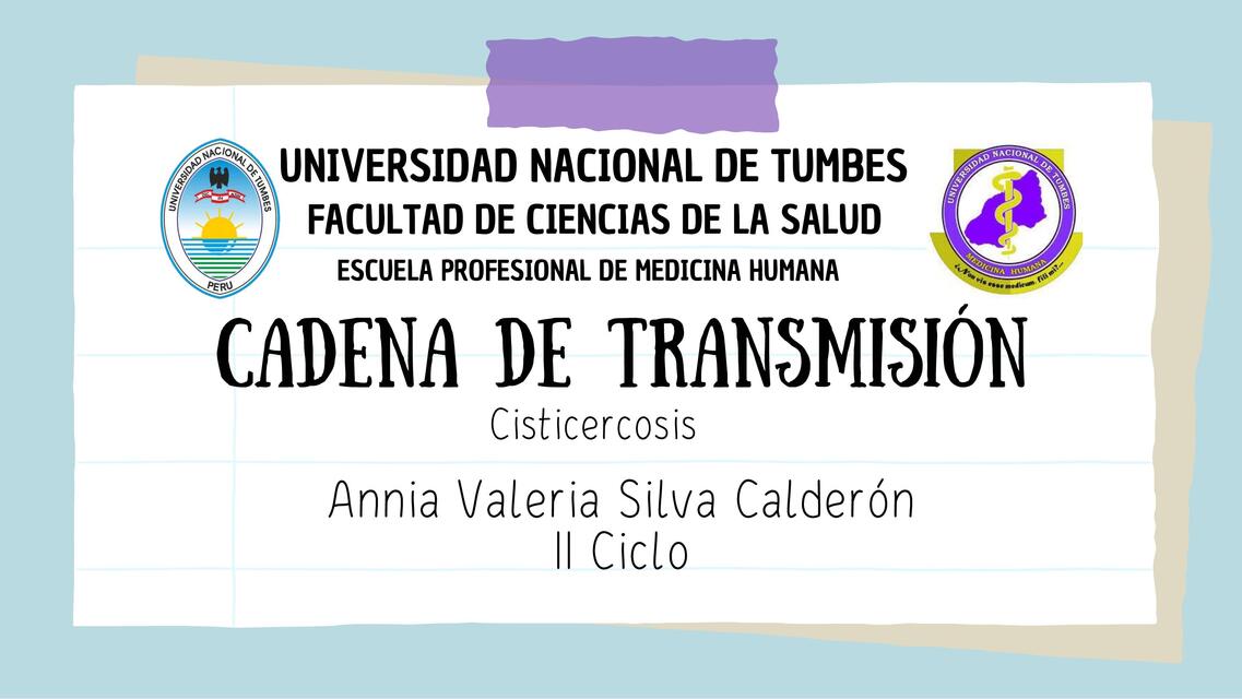 Cadena de transmisión Cisticercosis - Silva Calderón