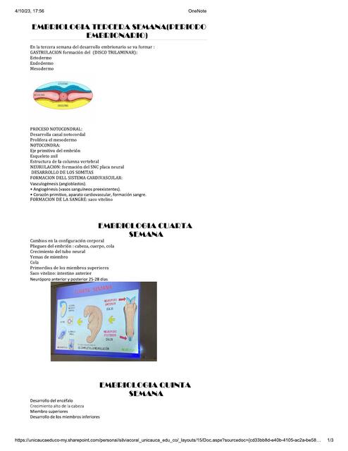 Embriología Tercera Semana (Periodo Embrionario)