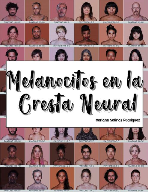 Melanocitos en la cresta neural Embriología