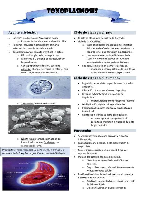 Toxoplasmosis