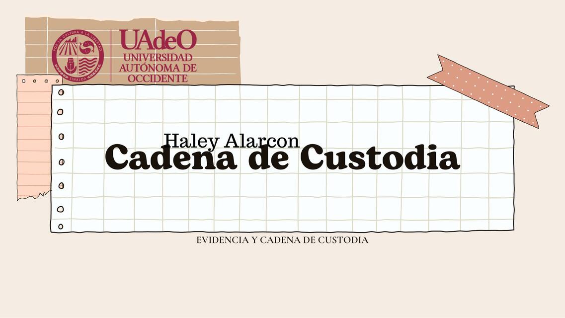 Evidencia y cadena de custodia